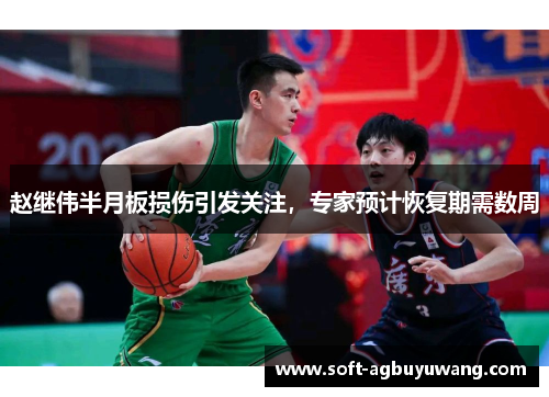 赵继伟半月板损伤引发关注，专家预计恢复期需数周